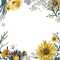 loly33 frame fleur - bezmaksas png animēts GIF