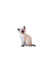 animals nancysaey - png gratis GIF animasi