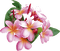 Flowers.Pink.Yellow - gratis png animeret GIF