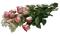 Tournesol94 fleur - gratis png animeret GIF