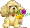 kutya - Bezmaksas animēts GIF animēts GIF