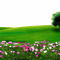 landskap-sommar--landscape - gratis png geanimeerde GIF