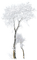 Árbol en invierno - Free PNG Animated GIF