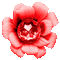 Flower.Red.Animated - KittyKatLuv65