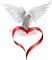 dove taube oiseau colombe valentine valentin heart coeur deco - PNG gratuit GIF animé