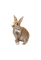Hare - zdarma png animovaný GIF