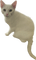 slug stare 2 - Free PNG Animated GIF