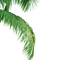 Branche - безплатен png анимиран GIF
