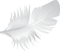 feathers anastasia - zadarmo png animovaný GIF