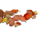 Autumn leaf - png gratuito GIF animata