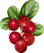 cranberries Bb2 - zdarma png animovaný GIF