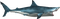 Kaz_Creations Shark - darmowe png animowany gif