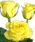 trandafir - ücretsiz png animasyonlu GIF