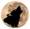 lune -loup -moon