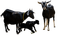 animals bp - Free PNG Animated GIF