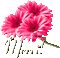 Merci en fleurs - Безплатен анимиран GIF анимиран GIF