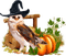 Halloween, Eule, Kürbis - png gratis GIF animado