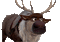 deer by nataliplus - Nemokamas animacinis gif animuotas GIF