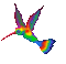 hummingbird gif - GIF animasi gratis GIF animasi