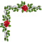 dolceluna corner roses pearls - Free PNG Animated GIF