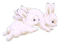 nbl-rabbit - PNG gratuit GIF animé