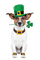 chien Saint-Patrick - PNG gratuit GIF animé