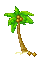 пальма. - Ücretsiz animasyonlu GIF animasyonlu GIF