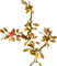 Deco Autumn - PNG gratuit GIF animé