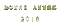 chantalmi gif 2018 déco bonne année happy New Year - Gratis animerad GIF animerad GIF