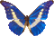 mariposa  gif  dubravka4 - GIF animado gratis GIF animado