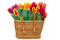 kukka, flower, fleur - ingyenes png animált GIF