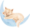 Kaz_Creations Cats Cat Kittens Kitten - png gratuito GIF animata