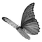 BUTTERFLY! - 無料png アニメーションGIF