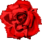 Red Rose.Fleur.Flower.Victoriabea - GIF animé gratuit GIF animé