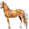 horse. horses bp - PNG gratuit GIF animé