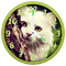 Kaz_Creations Cats Cat Clock - безплатен png анимиран GIF