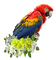 Kaz_Creations Birds Bird - zadarmo png animovaný GIF