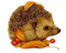 hedgehog - бесплатно png анимированный гифка