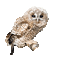 owl katrin - Ücretsiz animasyonlu GIF animasyonlu GIF