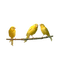 Pájaro gorrión amarillo - png gratuito GIF animata