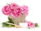 MMarcia  vaso flores deco - zadarmo png animovaný GIF