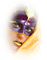 woman - Free PNG Animated GIF