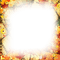 soave frame autumn leaves flowers movie texture - PNG gratuit GIF animé
