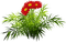 Flores  rojas - zadarmo png animovaný GIF