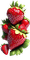Strawberry - Bogusia - PNG gratuit GIF animé
