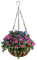 Blumenampel - gratis png animeret GIF