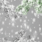 Bg.winter.grey.tree.pin. snow.idca - Δωρεάν κινούμενο GIF κινούμενο GIF