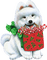 Kaz_Creations Christmas Dog Pup Dogs Colours - png ฟรี GIF แบบเคลื่อนไหว