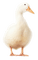 duck png deco autumn kikkapink - бесплатно png анимированный гифка