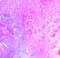 animated background pink milla1959 - Gratis geanimeerde GIF geanimeerde GIF